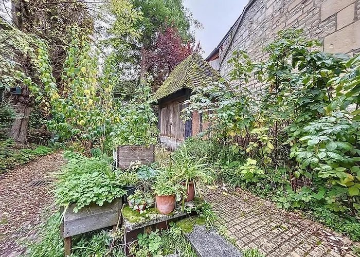 Centre Historique De Apartment